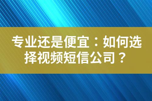專業還是便宜：如何選擇視頻短信公司？