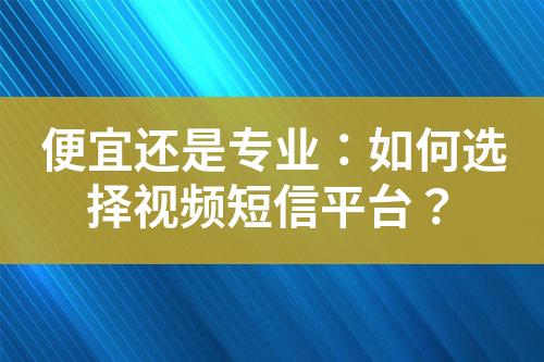 便宜還是專業(yè)：如何選擇視頻短信平臺？